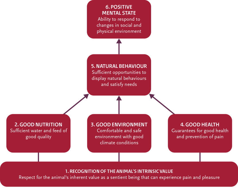 6 principles humane livestock farming