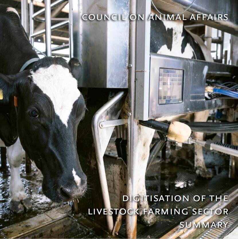 Digitisation of the livestock farming sector summary