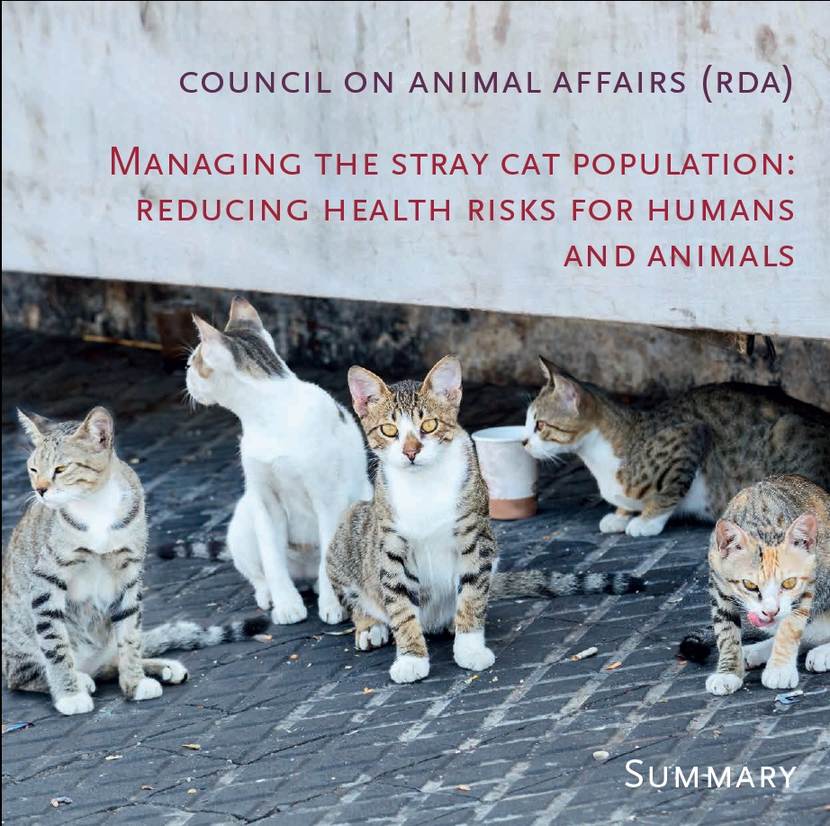 Managing The Stray Cat Population Publication Council On - 